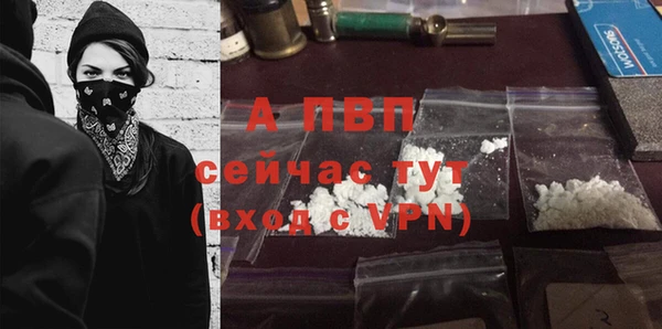эйфоретик Белоозёрский